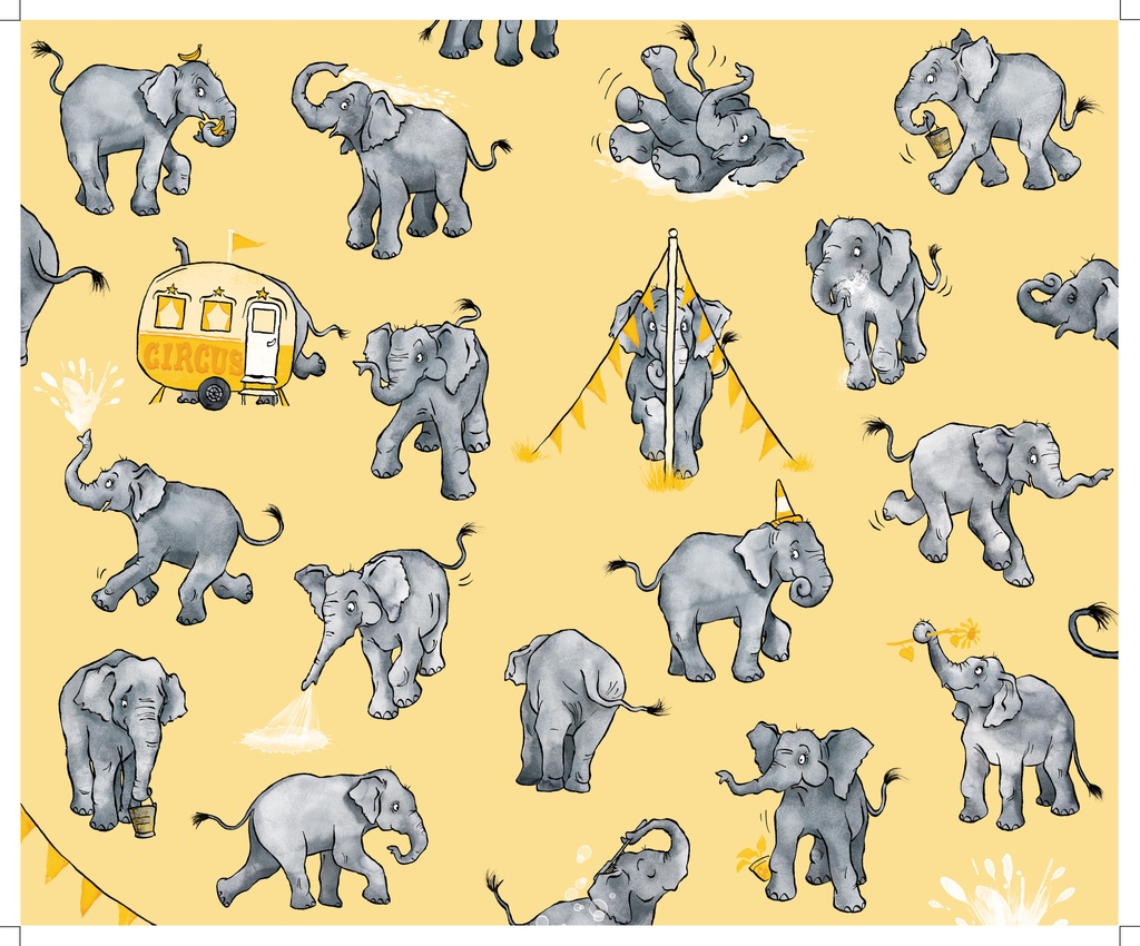 Elephant endpapers